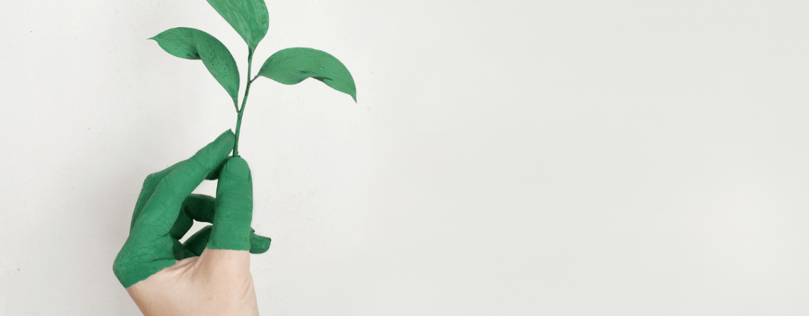 main tenant une plante peinte en vert